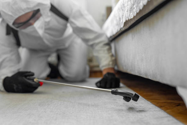 Professional Bed Bug Control technician working in Apalachin, NY