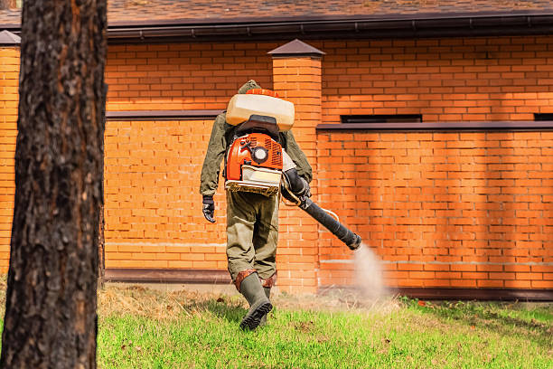 Trusted Cockroach Control service in Apalachin, NY - Nex Pest Control
